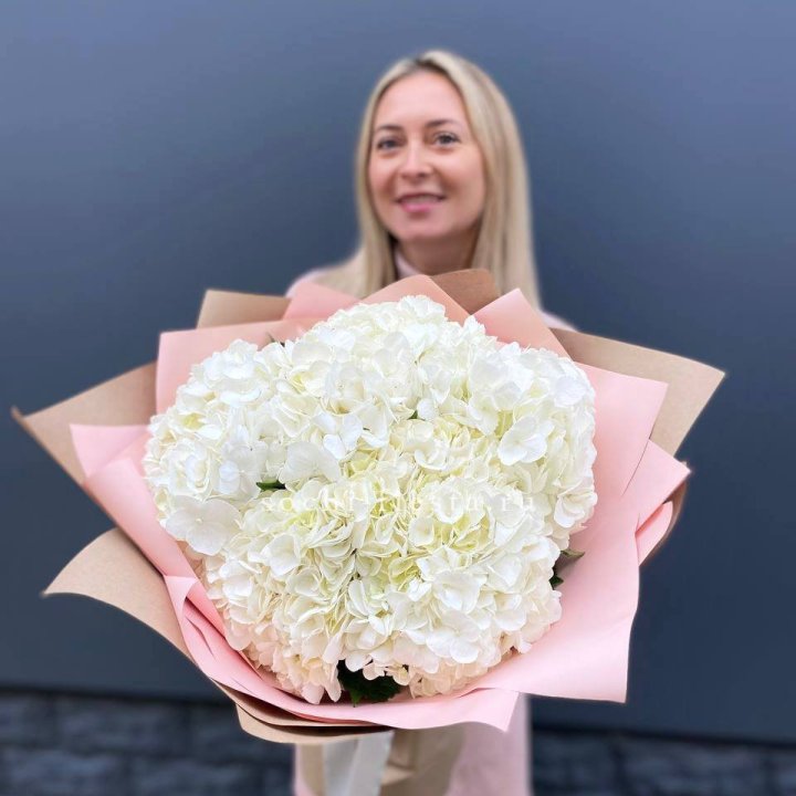 Гортензия белая в Иркутске