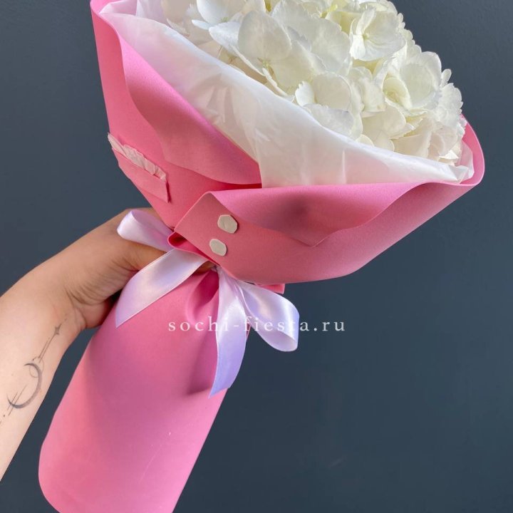 Гортензия в розовом пиджаке в Иркутске