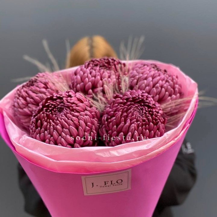 Хризантемы  Бигуди с стифой в Иркутске