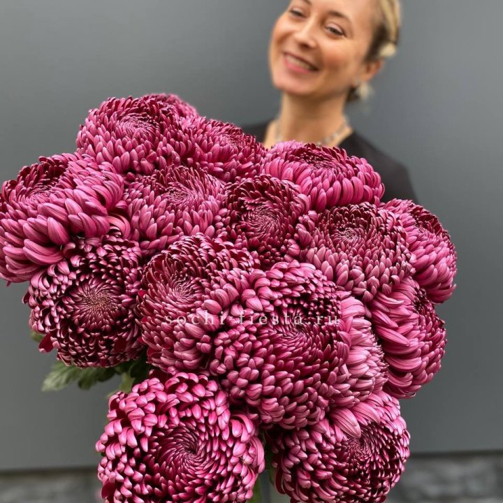 Охапка хризантем Бигуди в Иркутске