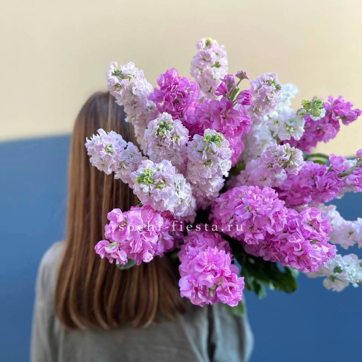 Охапка маттиолы в Иркутске