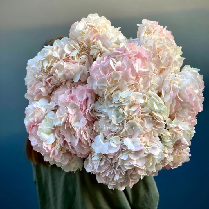 Охапка розовой гортензии в Иркутске