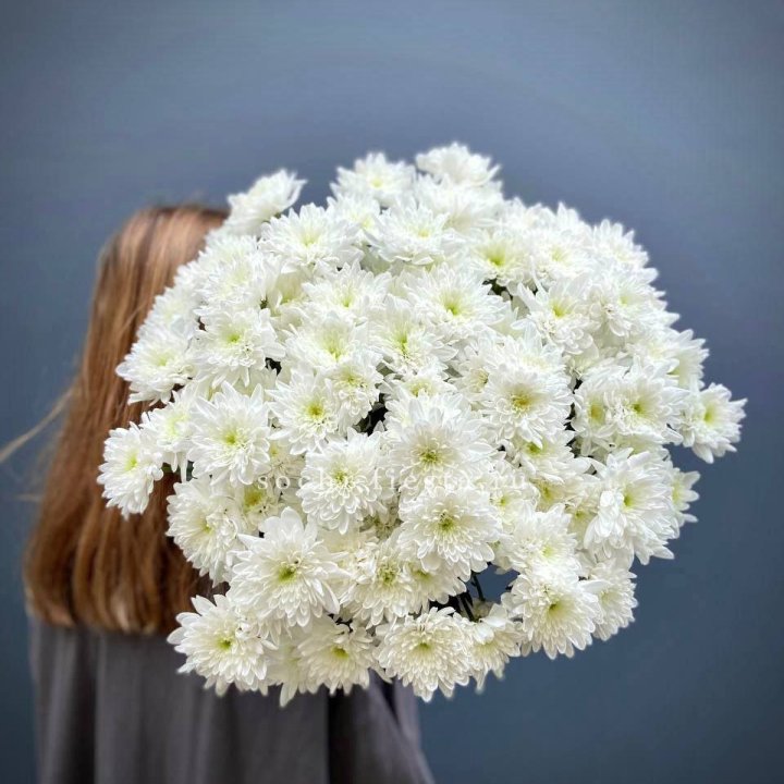 Охапка Хризантемы кустовой в Иркутске