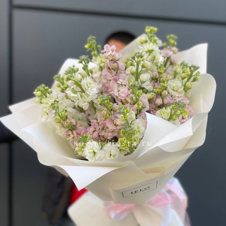 29 маттиол  в Иркутске