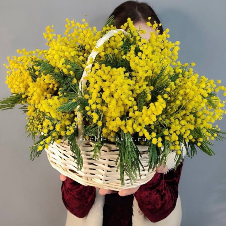 Корзина ароматной мимозы в Иркутске