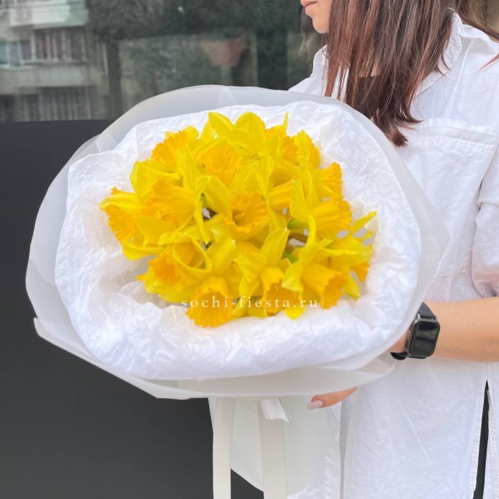 Нарциссы 25 шт в Иркутске