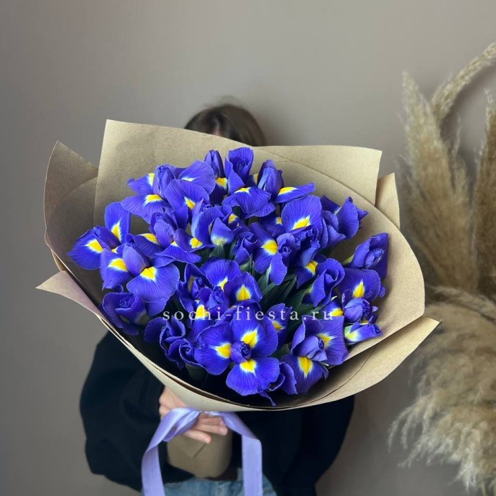 Ирисы в Иркутске