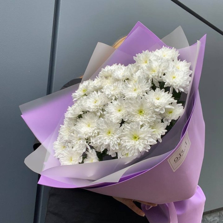  7 хризантем  в Иркутске