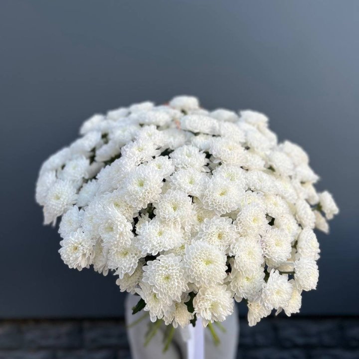  25 хризантем белых в Иркутске