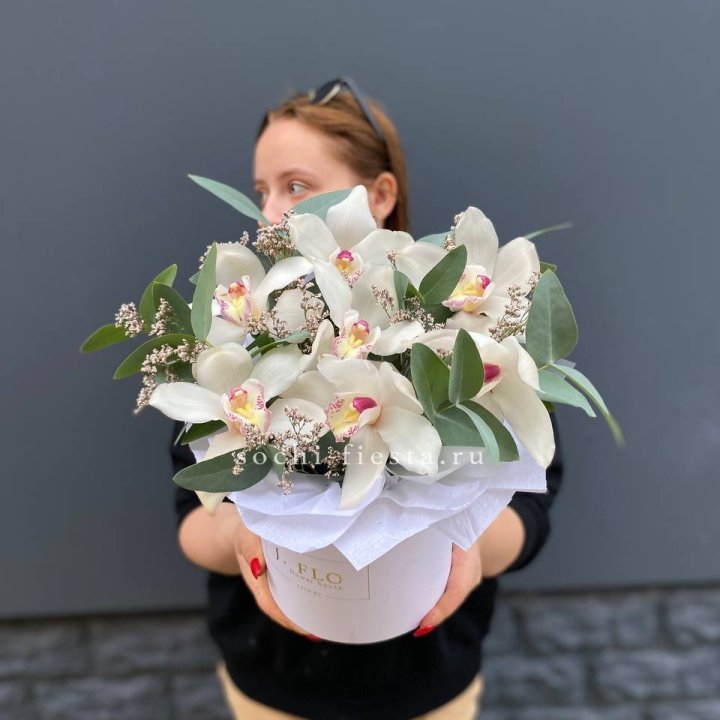 7 орхидей в боксе в Иркутске