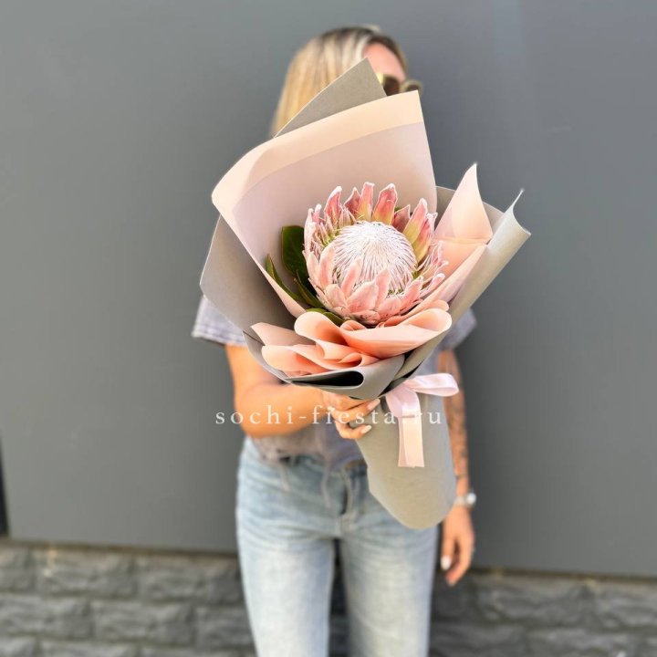 Протея мини  в Иркутске