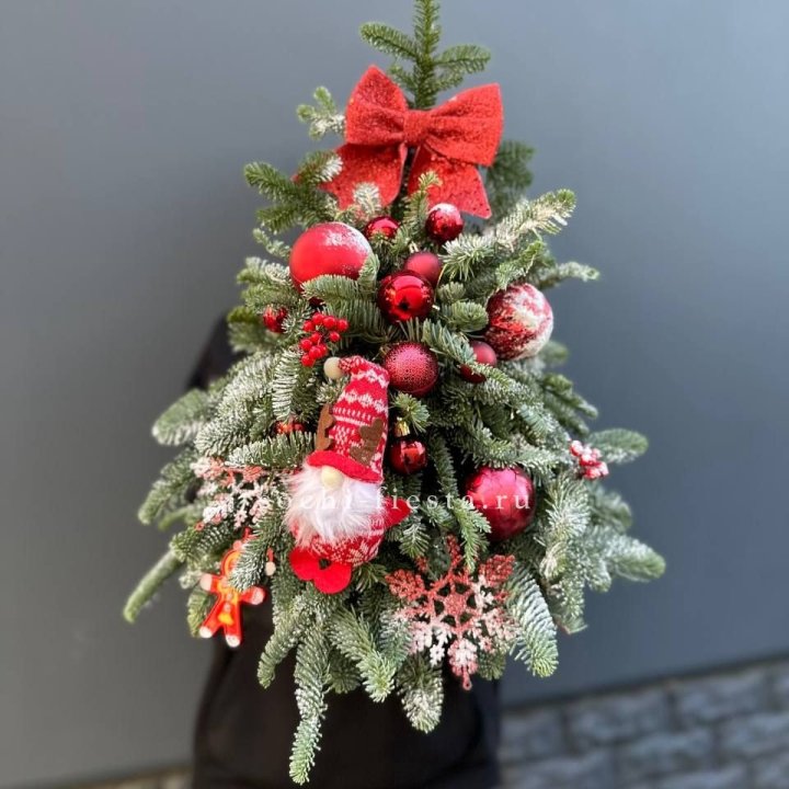 Новогодняя елочка "Ред" в Иркутске