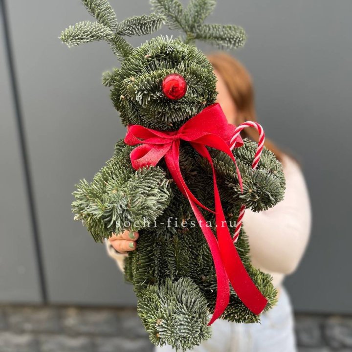 "Олень" из нобилиса в Иркутске