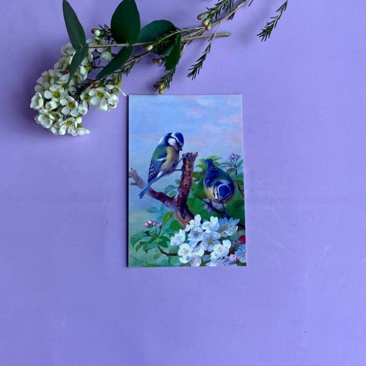 Открытка к букету "Птицы" в Иркутске