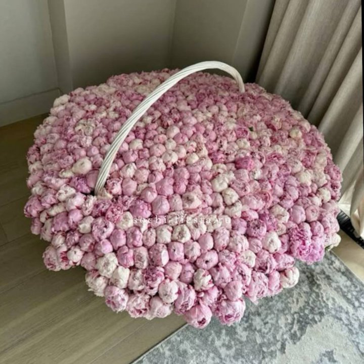 Корзина 555 пионов в Иркутске