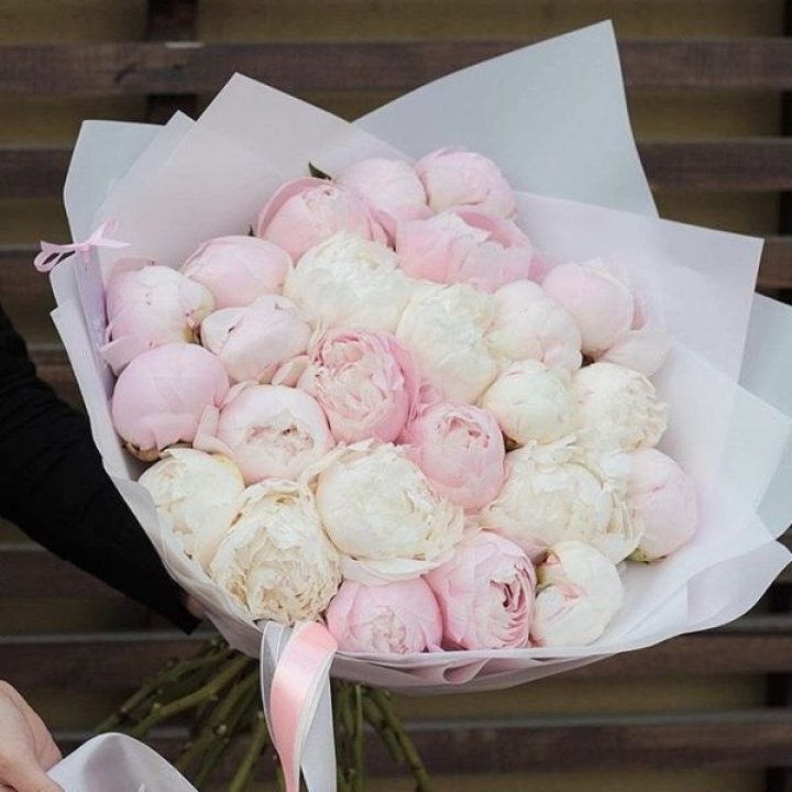 29 пионов в Иркутске