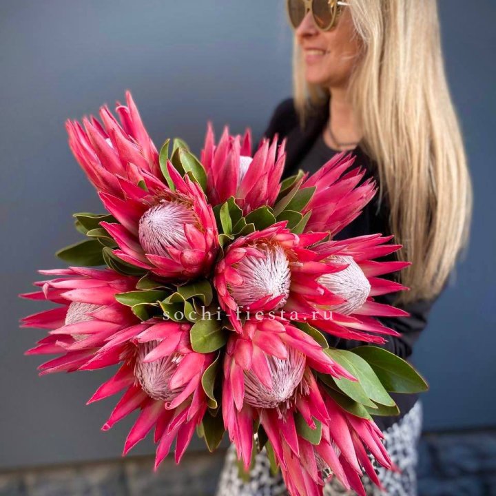 Протея штучно в Иркутске