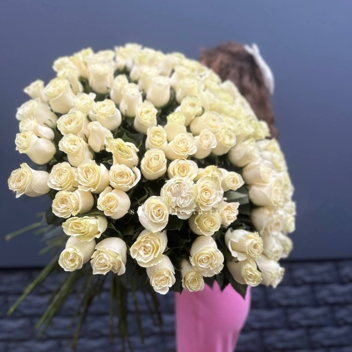 101 белая высокая импортная роза под ленту в Иркутске