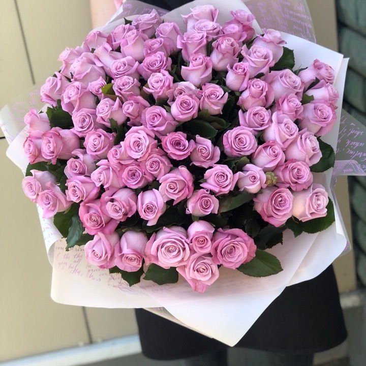 71 розовая роза "Маритим" в Иркутске
