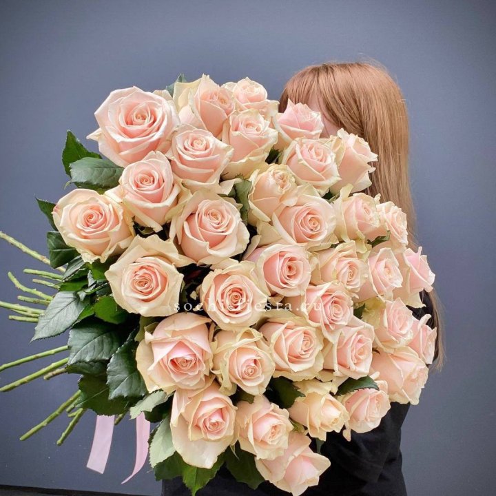 35 кремовых высоких роз в Иркутске