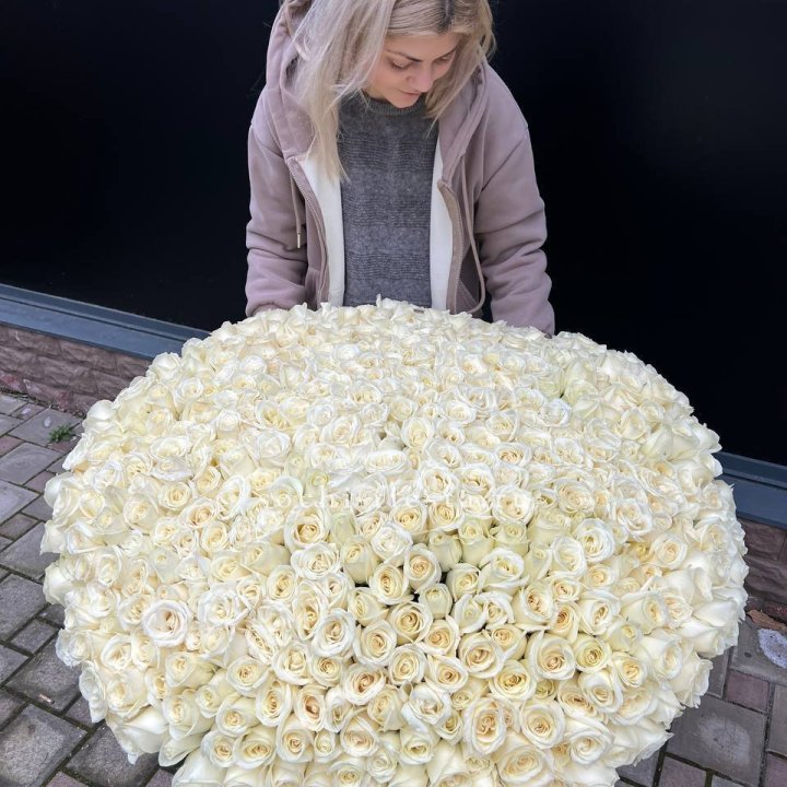 501 белая роза в корзине в Иркутске