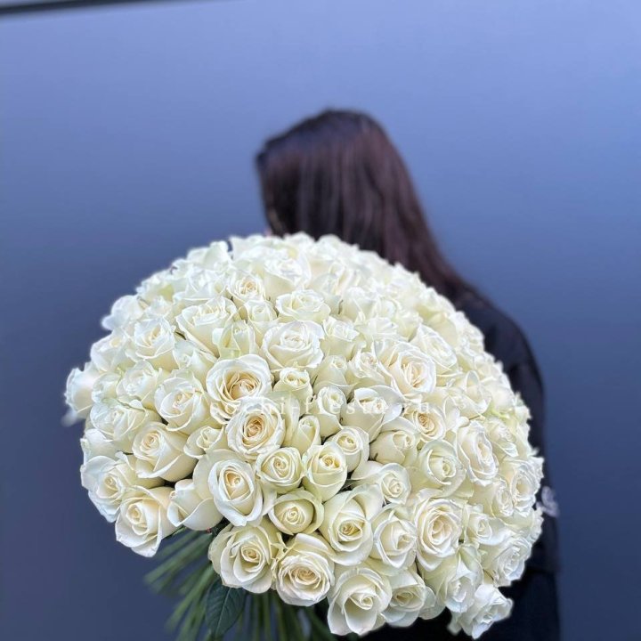 Охапка из 101 белой розы  в Иркутске