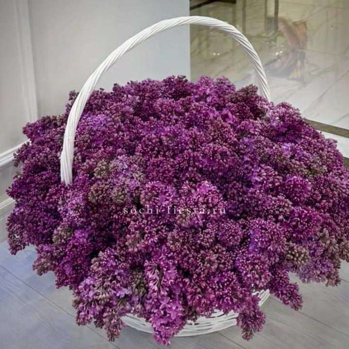 Корзина сирени в Иркутске