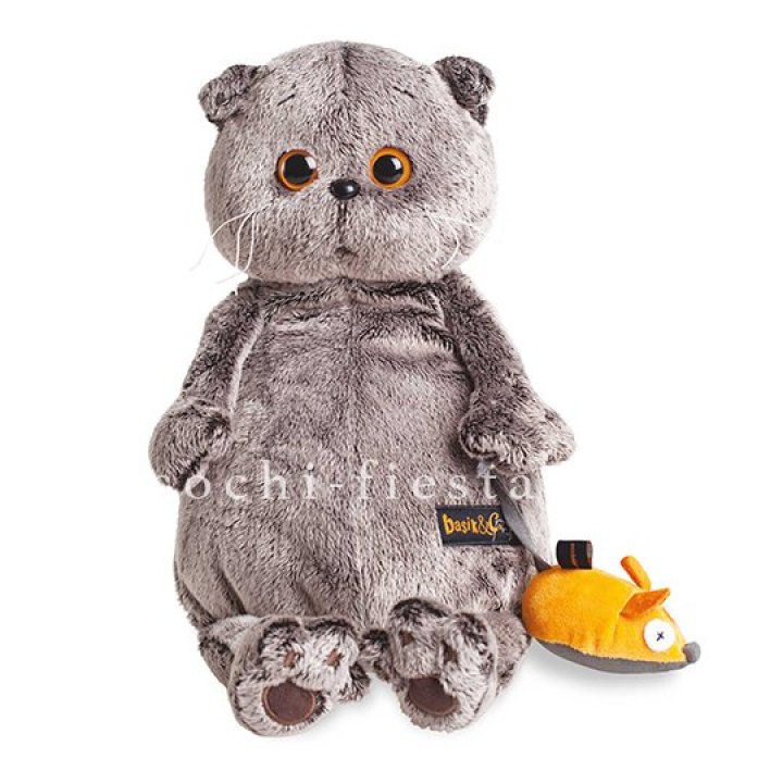 Кот Басик с мышкой в Иркутске