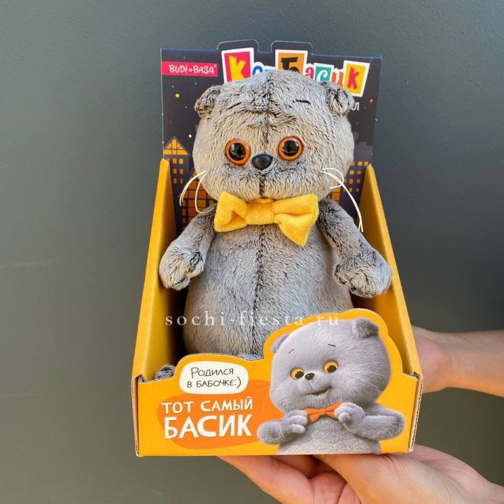 Кот Басик с бабочкой в Иркутске