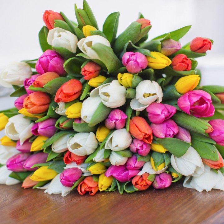 79 тюльпанов "Рандом" в Иркутске