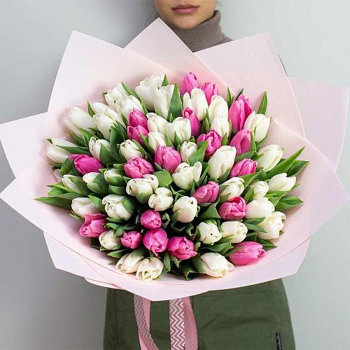 61 бело-розовый тюльпан в Иркутске