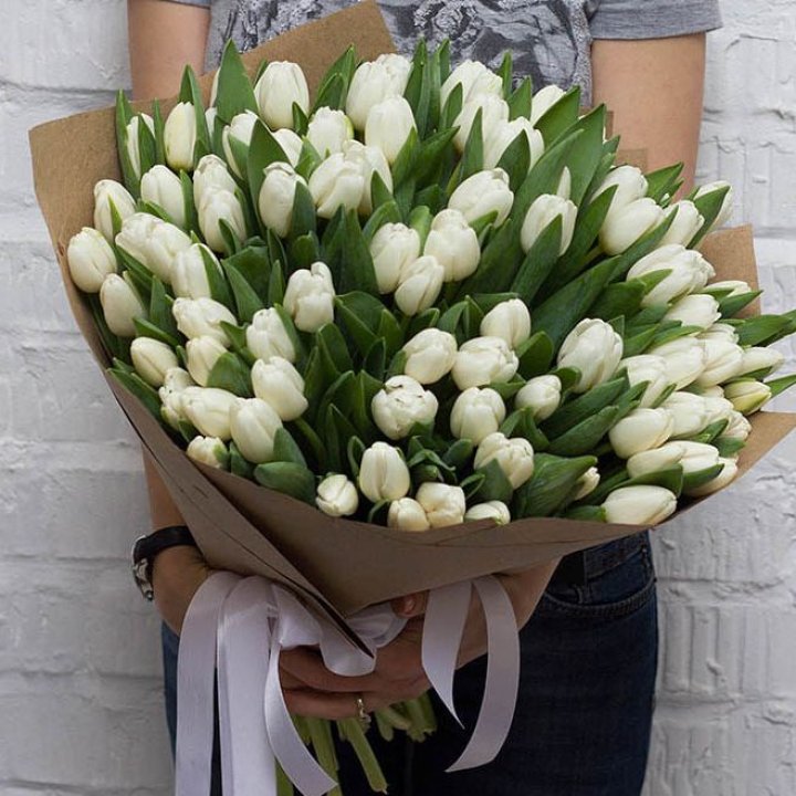 101 тюльпан сноу в Иркутске