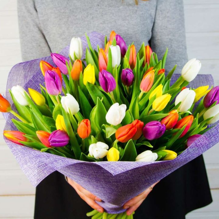 51 тюльпан "Рандом" №2 в Иркутске