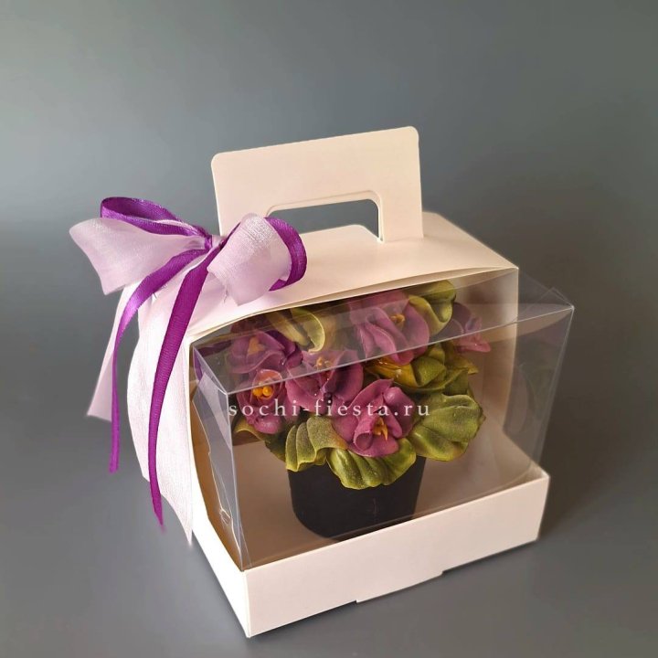  Зефир "Фиалка" в Иркутске